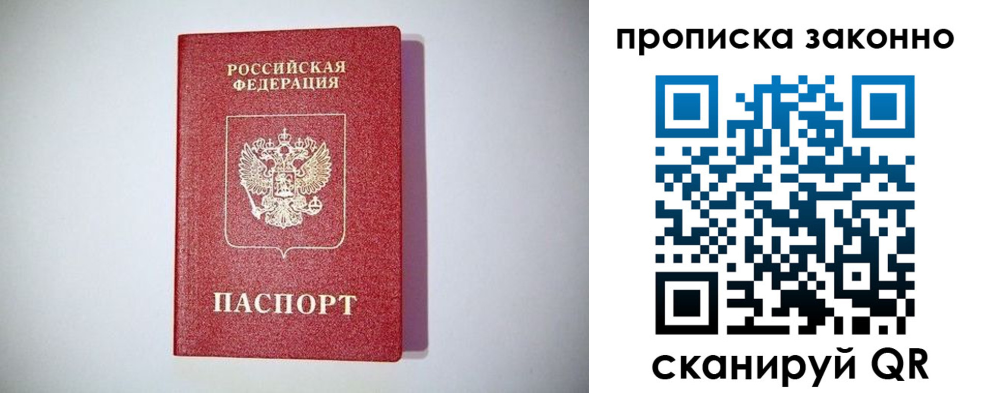 прописка для школы в Мончегорске